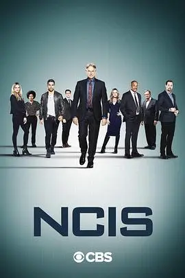 NCIS: 海军罪案调查处第十八季：真相迷雾，正义守护！