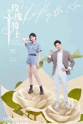 《玫瑰骑士》：骑士精神的新生？一场关于爱、荣耀与救赎的惊艳史诗！